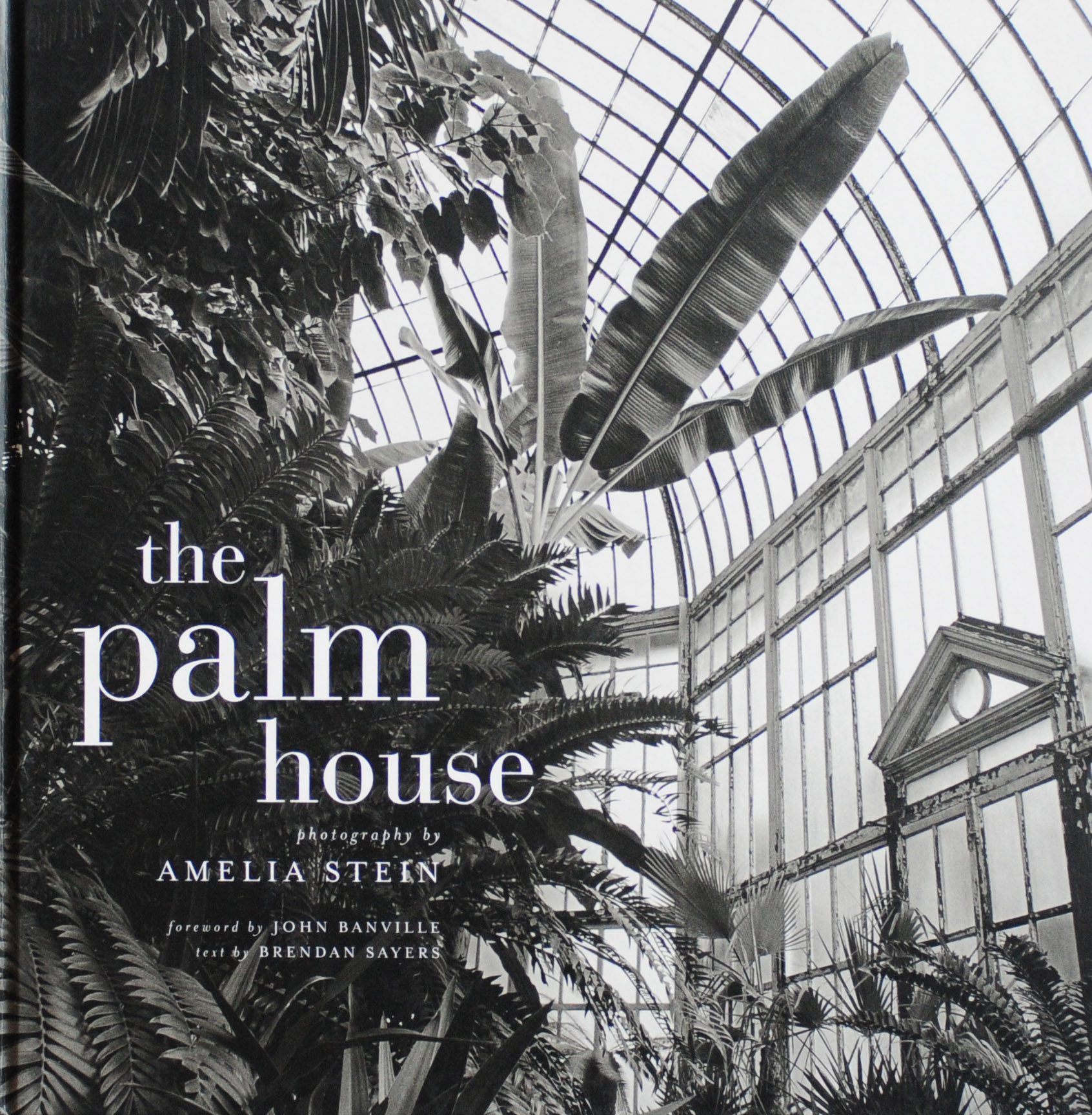 The-Palm-House-Amelia Stein