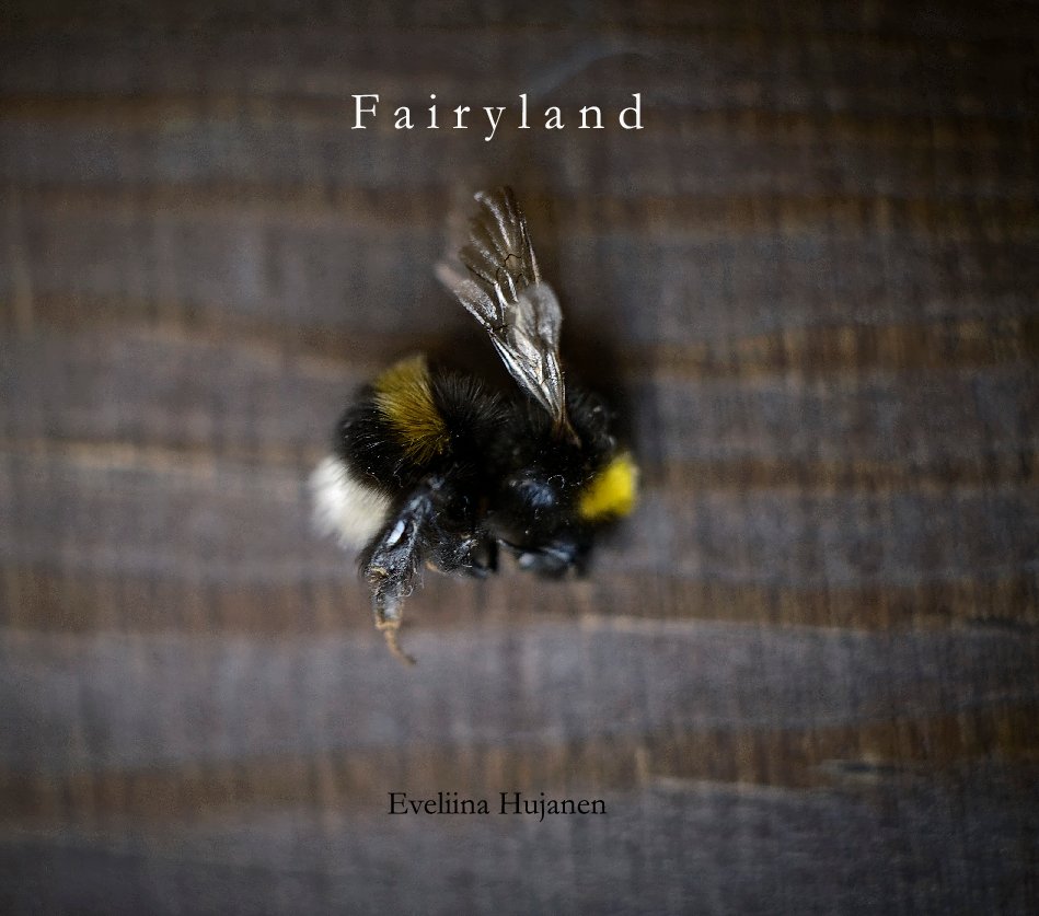 Fairyland-Eveliina-Hujanen