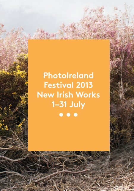 PhotoIreland-Festival-2013-New-Irish-Works