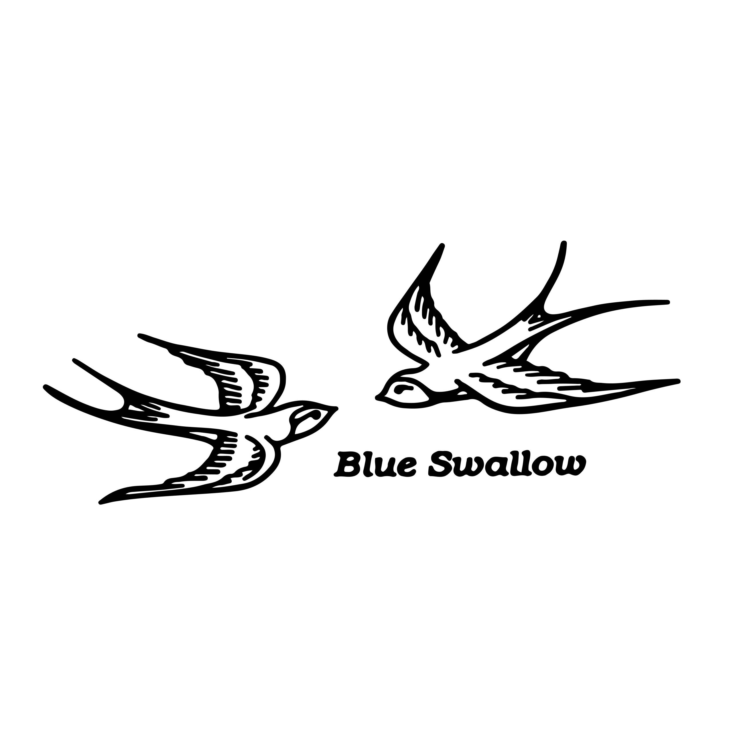 blue-swallow