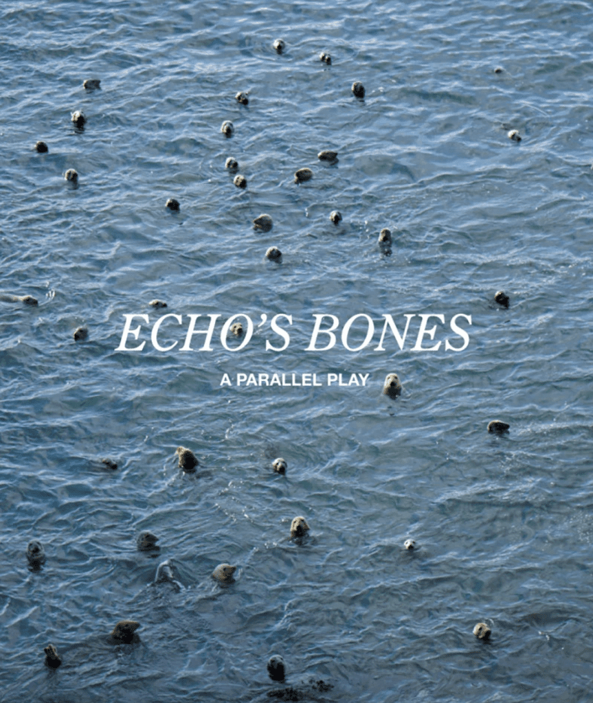 echos bones