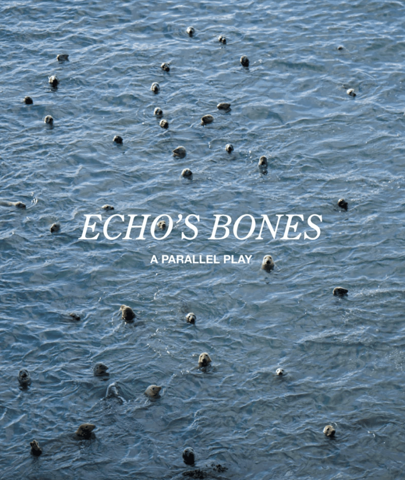 echos bones