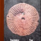 tremble-tremble-the-tower-by-Jesse-Jones