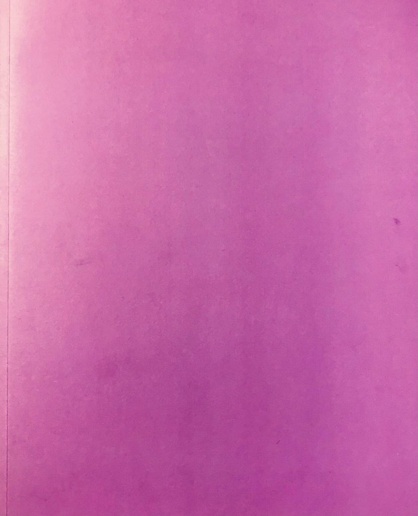 HARDCORE VANILLA RAIN Jennifer Mehigan