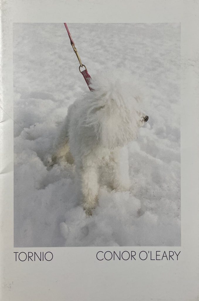 Tornio-conor-olearly