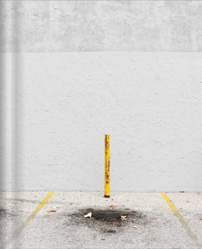 Volunteer-paul-seawright