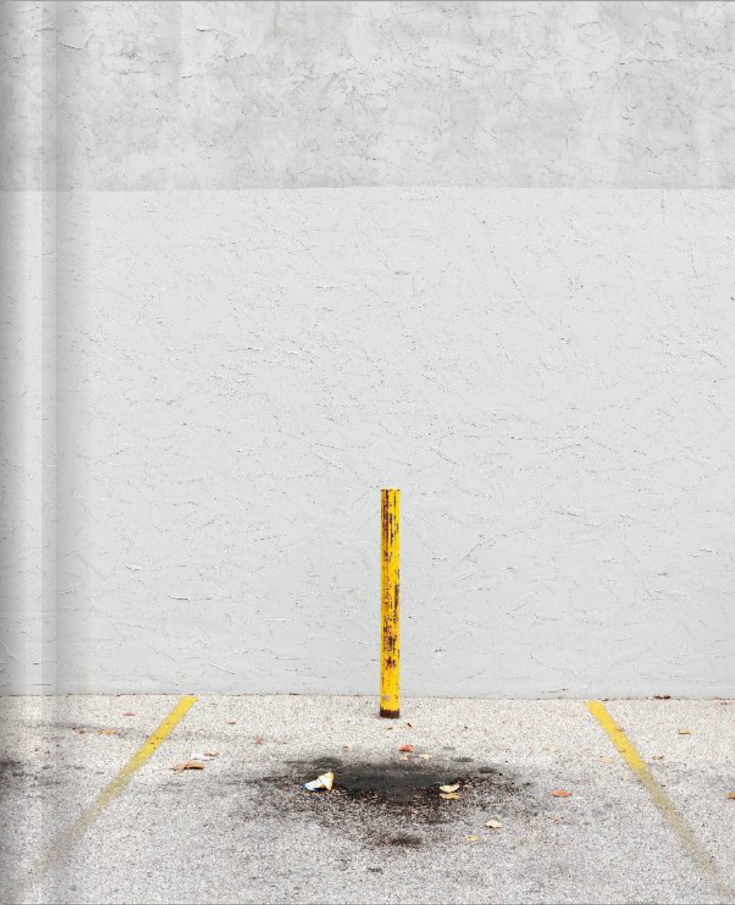 Volunteer-paul-seawright