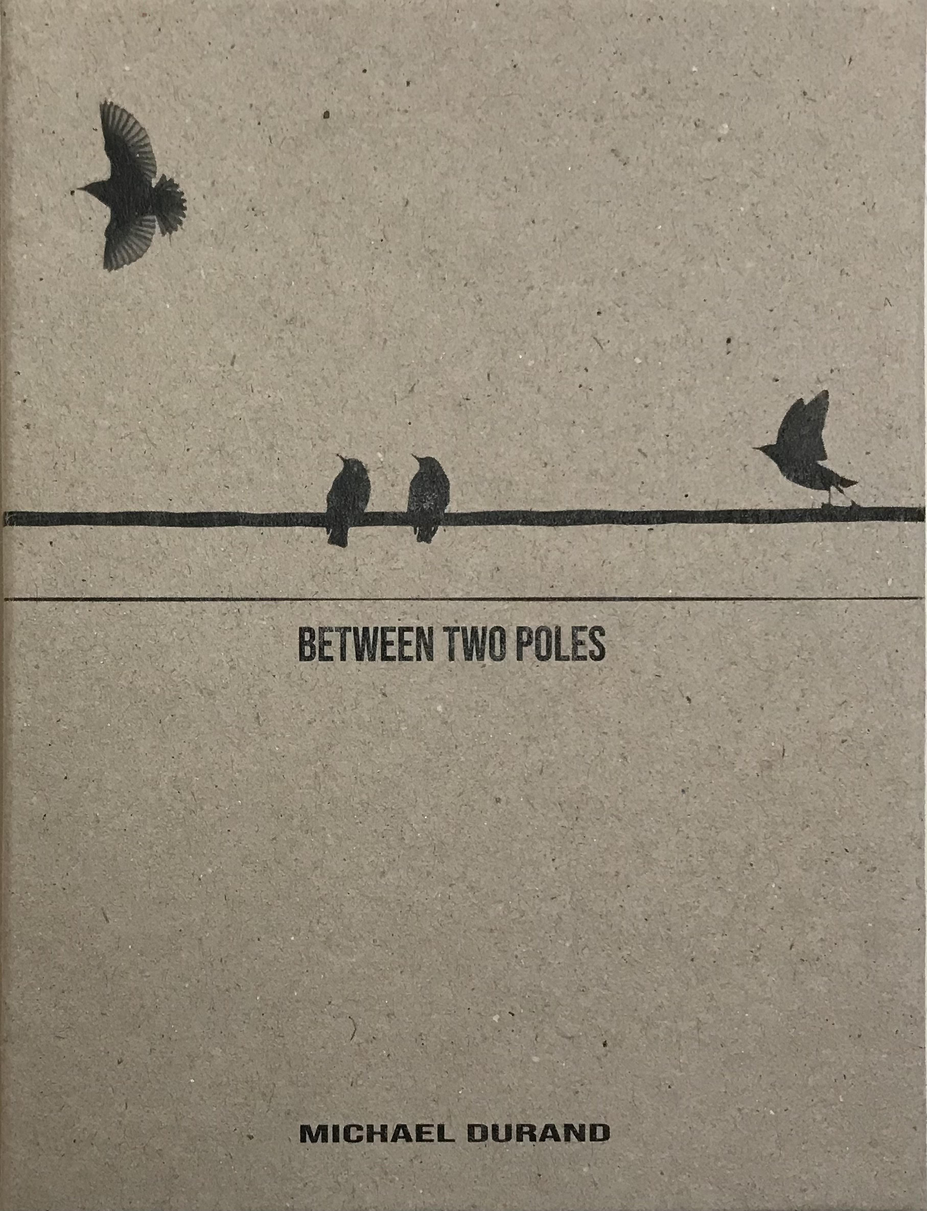 Between-Two-Poles-Michael-Durand