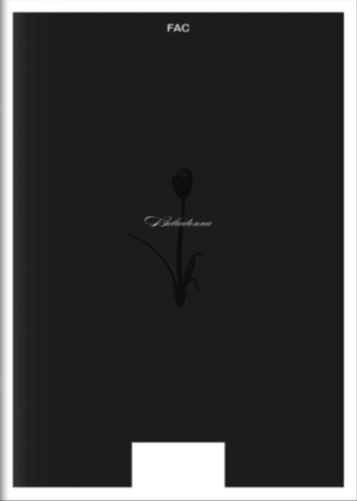 Issue 1- Belladonna